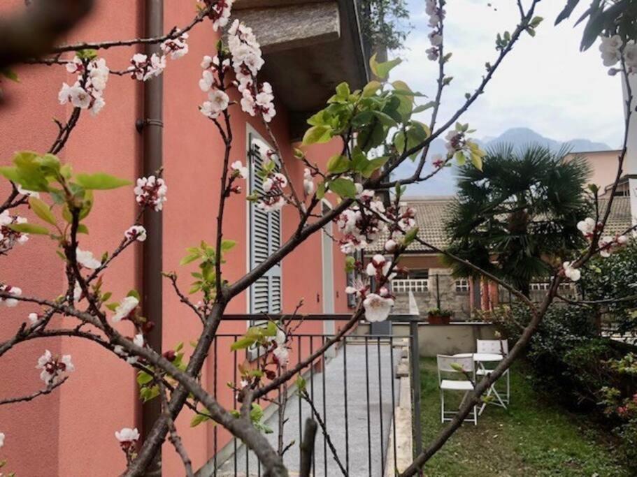 Giuditta Freecarpark&Garden Domodossola Buitenkant foto