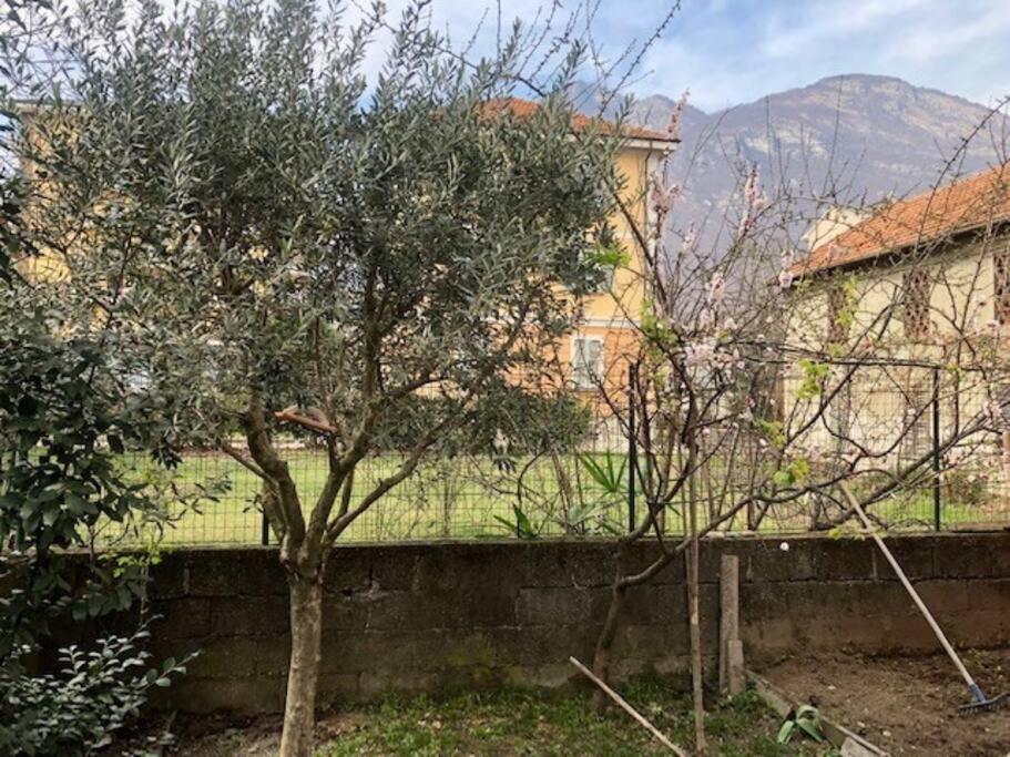 Giuditta Freecarpark&Garden Domodossola Buitenkant foto