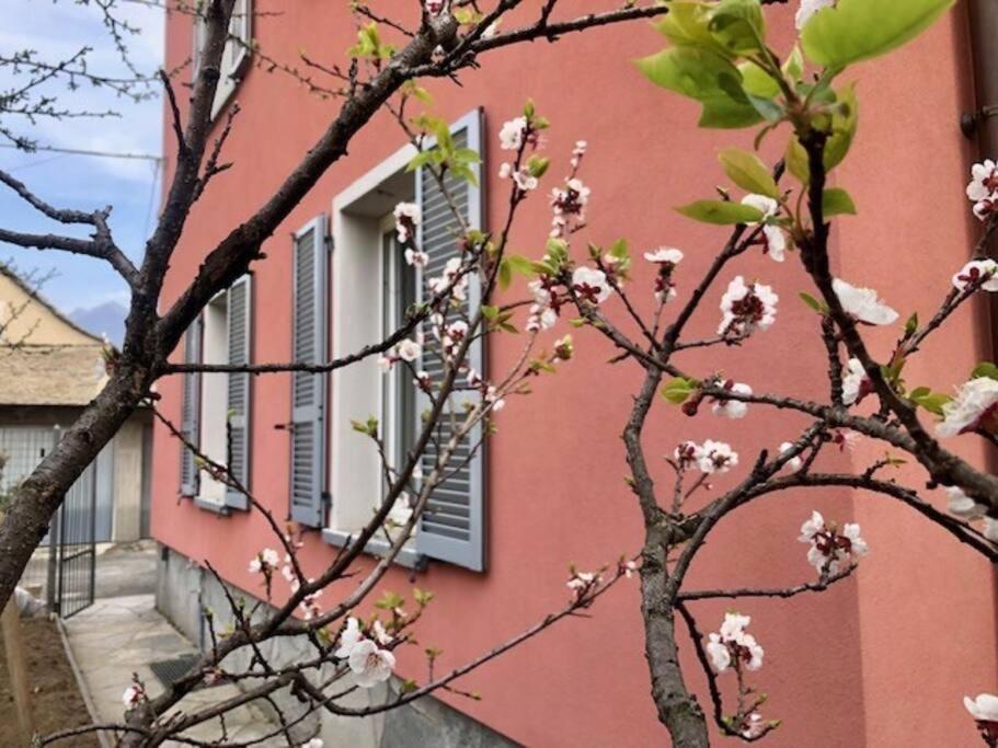 Giuditta Freecarpark&Garden Domodossola Buitenkant foto