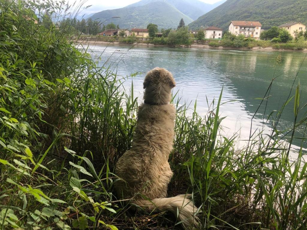 Giuditta Freecarpark&Garden Domodossola Buitenkant foto