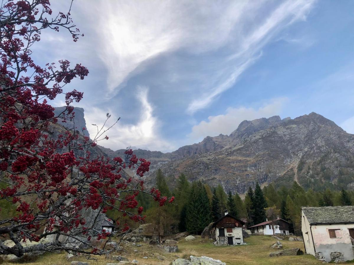 Giuditta Freecarpark&Garden Domodossola Buitenkant foto