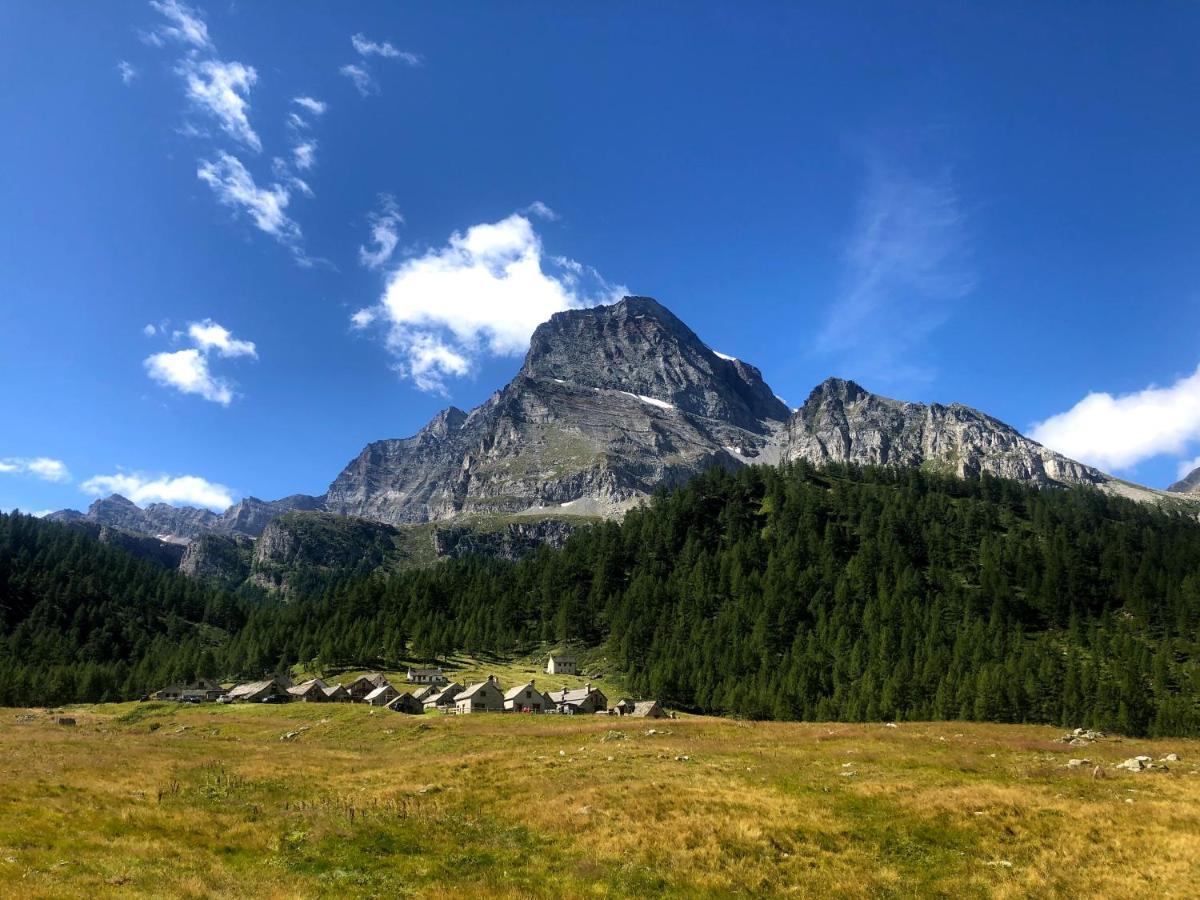 Giuditta Freecarpark&Garden Domodossola Buitenkant foto