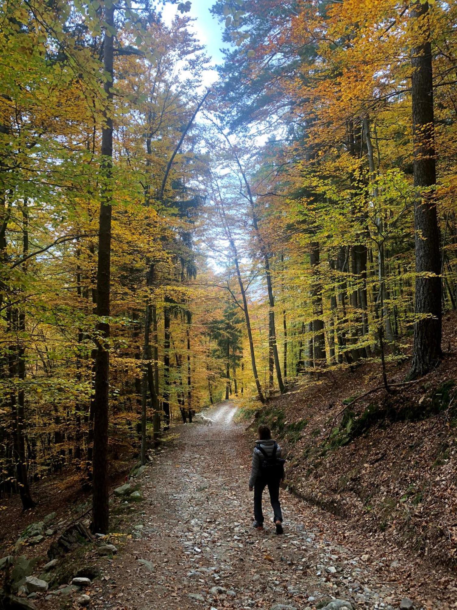 Giuditta Freecarpark&Garden Domodossola Buitenkant foto